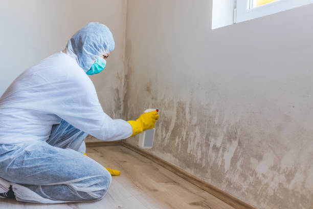 Licensed Commercial Mold Remediation service in Reston, VA - WQB Mold Removal