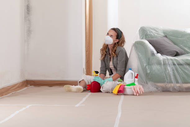 Reliable Commercial Mold Remediation contractor in Reston, VA by WQB Mold Removal